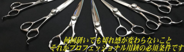 ハイネッタ