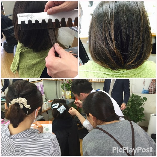 写真 2016-04-23 9 28 00