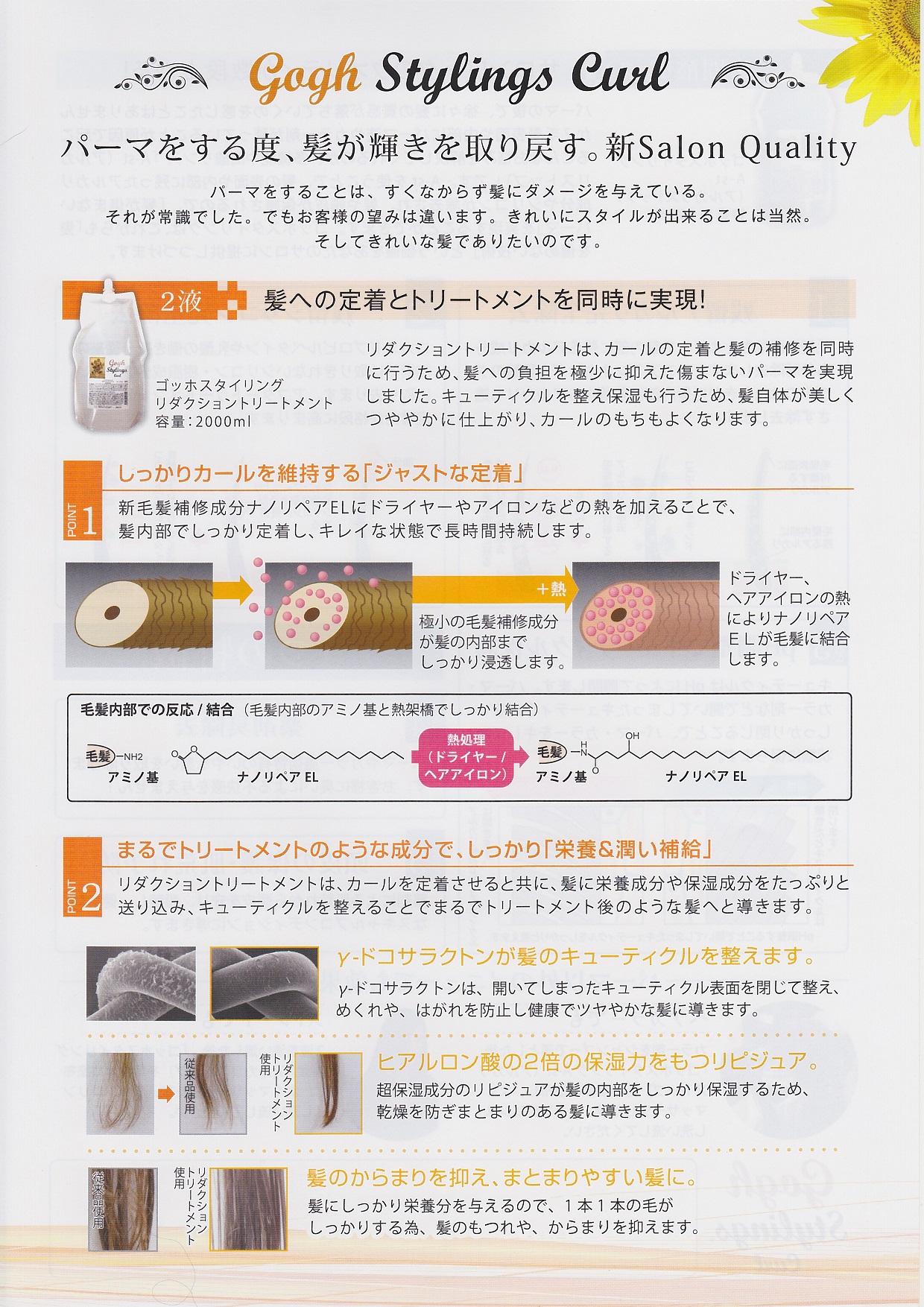 ｺﾞｯﾎﾘﾀﾞｸｼｮﾝﾄﾘｰﾄﾒﾝﾄ２